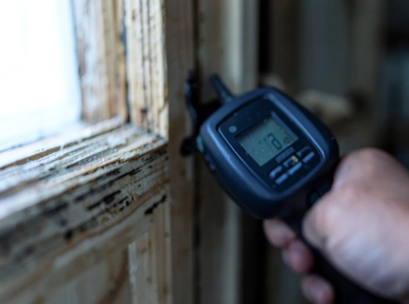 Ceiling Water Damage Repair in Laceys Spring, AL